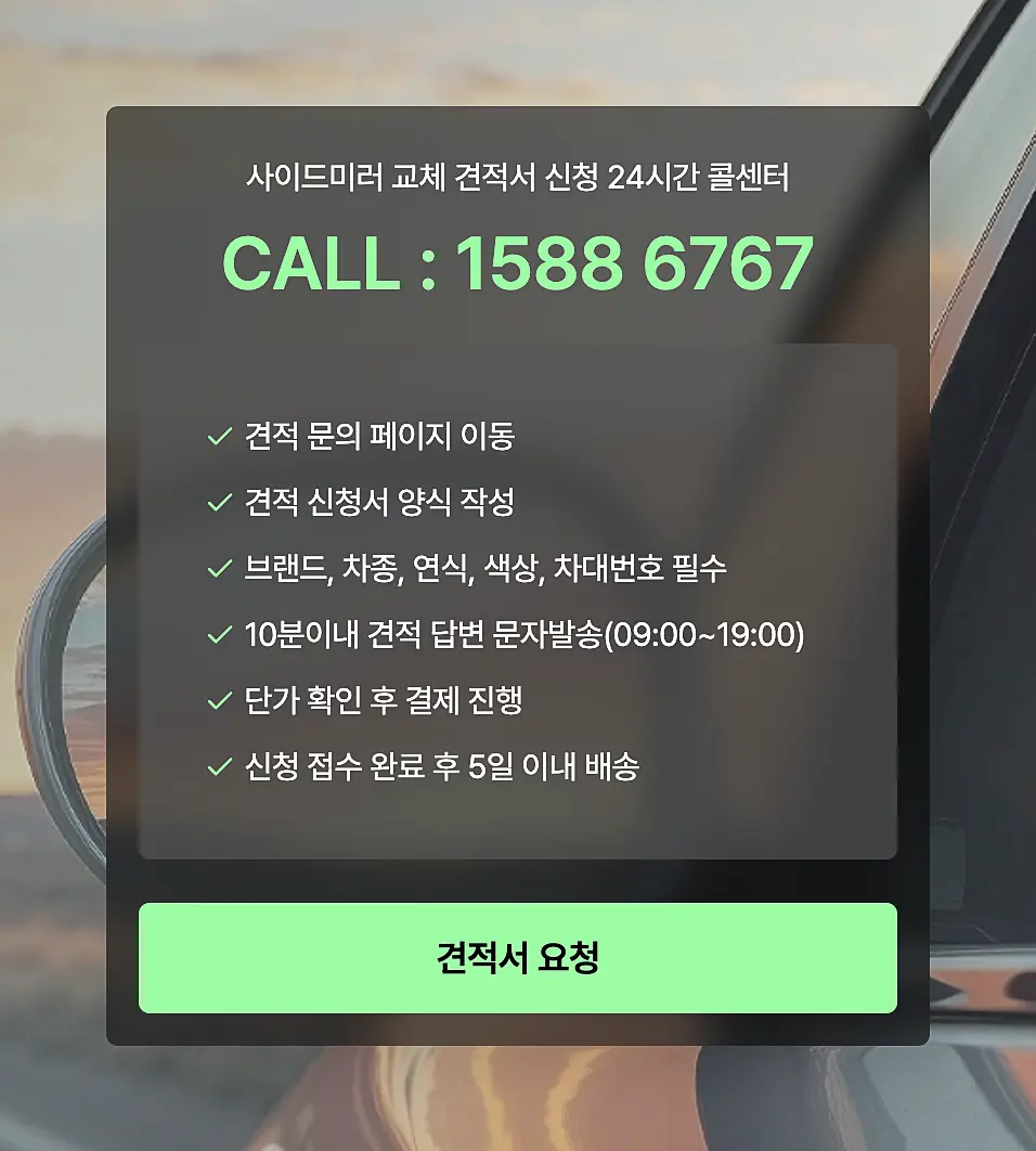 사이드미러 도색