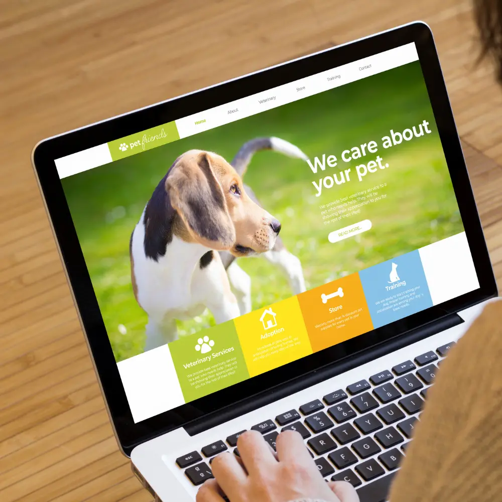 웹사이트 만들기